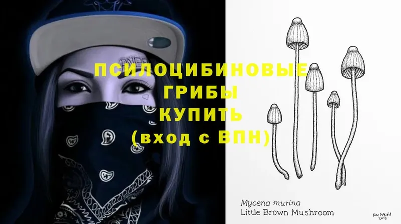 OMG рабочий сайт  Шарыпово  Псилоцибиновые грибы Magic Shrooms 